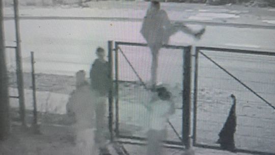 MKS Makowianka stawia ultimatum wandalom. Naprawią szkody, albo będą prawne konsekwencje