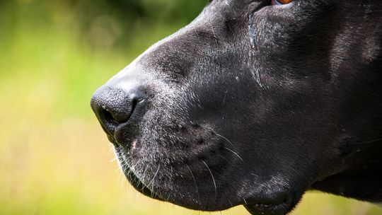 zdjęcie ilustracyjne