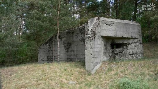 Mława na szlaku turystycznym? "Chcemy wykorzystać bunkry"