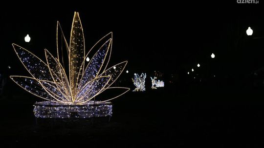 Mława. Oświetlenie w parku zaskakuje