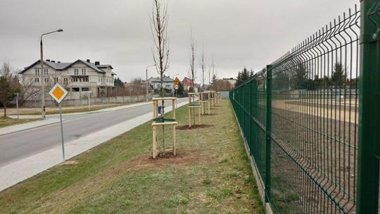 Mława się zieleni