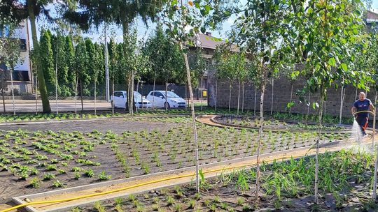 Mławskie placówki oświatowe zyskują nową, zieloną przestrzeń Mławskie placówki oświatowe zyskują nową, zieloną przestrzeń