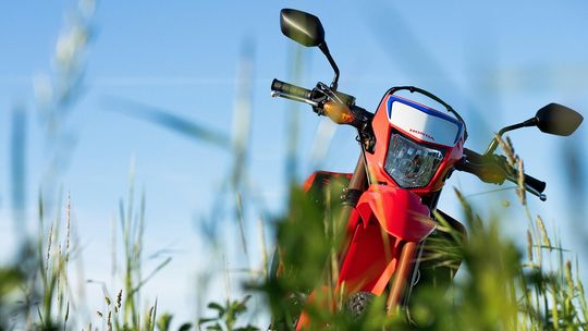 Młodość i brak odpowiedzialności. Nastolatek zderzył się z rzeczywistością