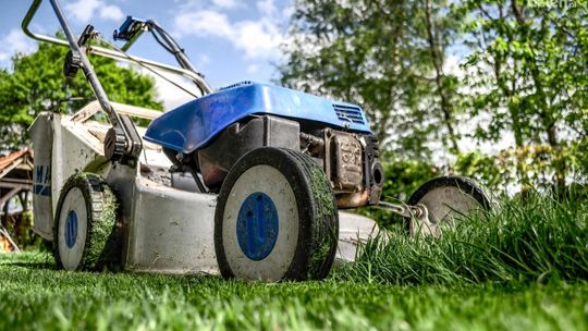 Nabór wniosków trwa. Sprawdź na co można przeznaczyć dotacje