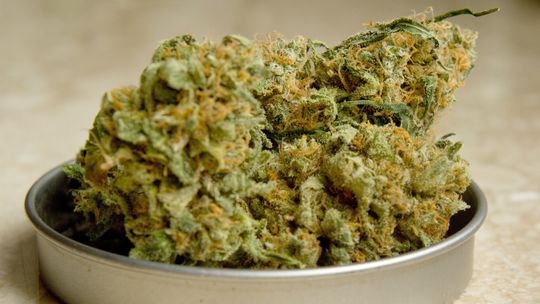 Marihuana w naczyniu