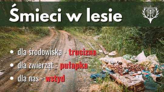 Nie zostawiaj śmieci w lesie! Zwierzęta cierpią przez ludzką bezmyślność