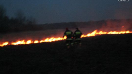 Niebezpiecznie w Dąbku, spłonęło kilkaset bel słomy 