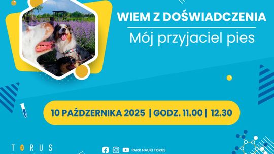 Niezwykłe Warsztaty w Torusie: "Mój Przyjaciel Pies" – Edukacja, Empatia i Wsparcie Emocjonalne!