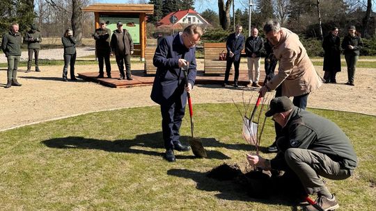 Nowa enklawa spokoju pod Mławą: leżaki, rowery i bliskość natury