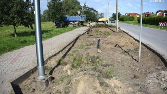 Nowe nasadzenia przy ul. Parkowej w Ciechanowie