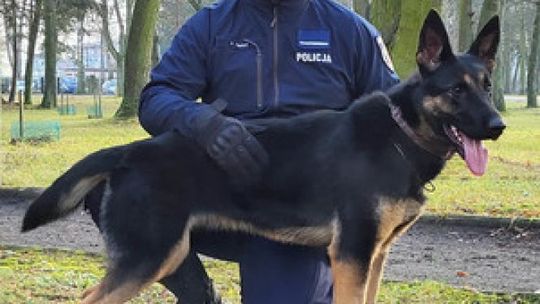 Nowe psy patrolowe w służbie Policji!