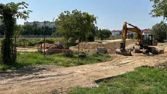 Nowe strefy rekreacji w Płońsku. Powstaje wybieg dla psów i łąka kwietna nad Płonką
