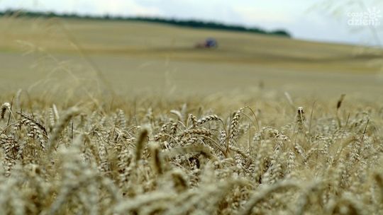 Nowy gospodarz przasnyskich dożynek