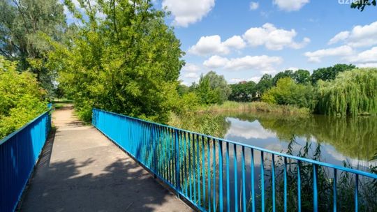 Nowy park botaniczny w Ciechanowie dzięki dofinansowaniu z UE!
