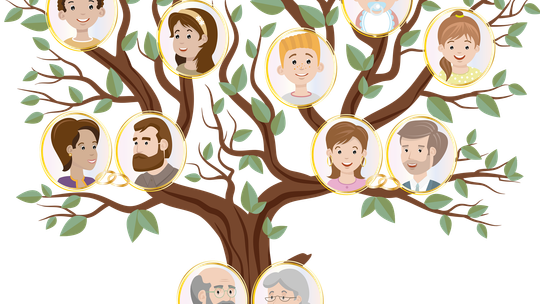 Odkryj sekrety swoich przodków. Warsztaty genealogiczne w Krzywej Hali