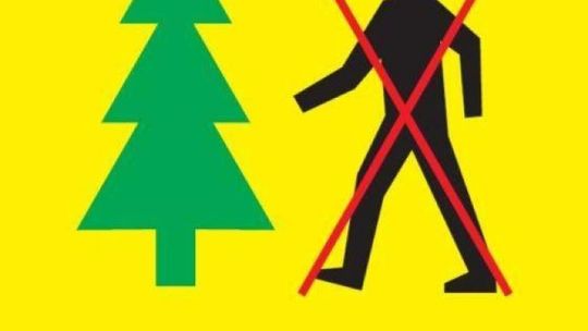 Okresowy zakaz wstępu! Teraz nie wejdziemy legalnie do lasów w regionie
