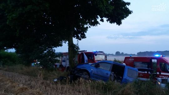 Osobówka uderzyła w drzewo w Karniewie