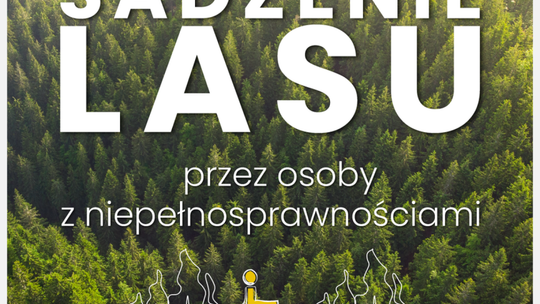 Osoby z niepełnosprawnościami posadzą las