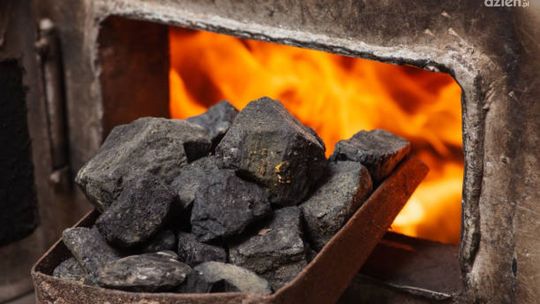 Oszustwo na portalu ogłoszeniowym: mieszkaniec Ciechanowa stracił 1300 zł
