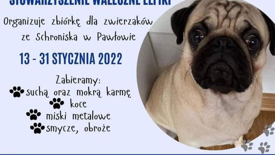 Pakersi łączą siły z Walecznymi Elfikami-wszystko z myślą o psach