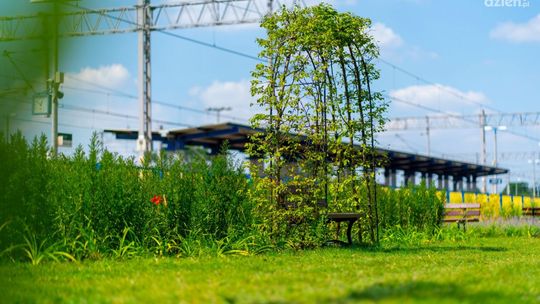Pierwsza taka w Ciechanowie. Przy dworcu kolejowym powstała "Zielona poczekalnia"