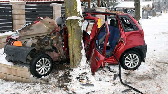 Pijana Ukraina wpadła na drzewo w Mławie