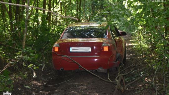 Pijany kierowca Audi spowodował kolizję i uciekł do lasu