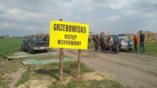 PILNE! Dziś do Zawad Dworskich ma przyjechać kolejny transport padłego drobiu