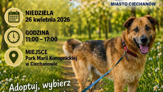 To już szósta edycja „Spaceru z Psiakiem Bezdomniakiem”