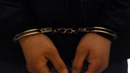 Pójdą siedzieć za wycinkę? Policja zatrzymała 3 osoby 