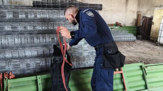 Policjant z Ciechanowa i pies Raja na szkoleniu TROPIK-9 Policjant z Ciechanowa i pies Raja na szkoleniu TROPIK-9