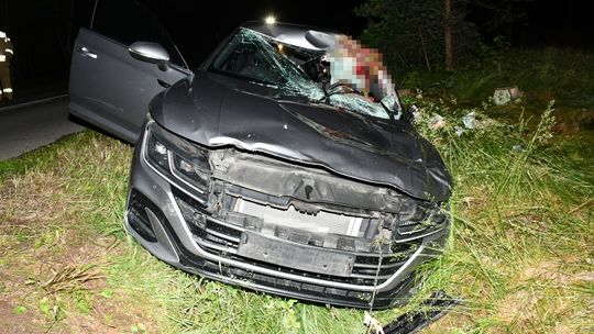 Ponad pół tony na masce samochodu. Mieszkaniec Warszawy potrącił łosia w gminie Sochocin