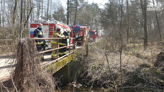 Postawił służby na baczność- teraz za to zapłaci