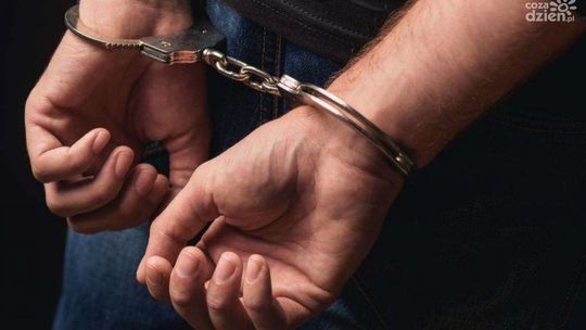 Poszukiwany 33-latek zatrzymany przez płońskich policjantów