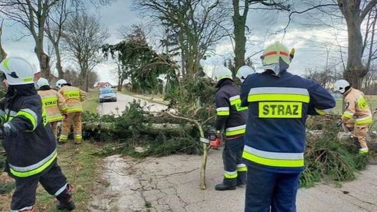Powiat mławski po wichurze. Ponad 160 interwencji strażaków