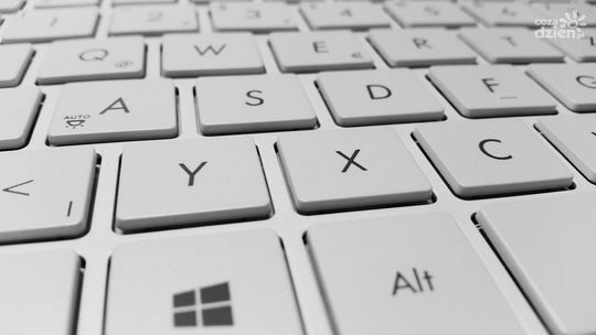 Powiatowy Urząd Pracy organizuje webinarum dla pracodawców