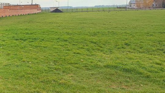 Powstanie kompleks boisk przy ZSP w Przasnyszu, przetarg został rozpisany