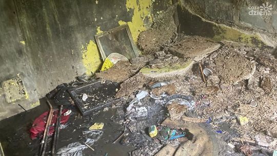 Pożar na Palińskiego, palił się budynek gospodarczy