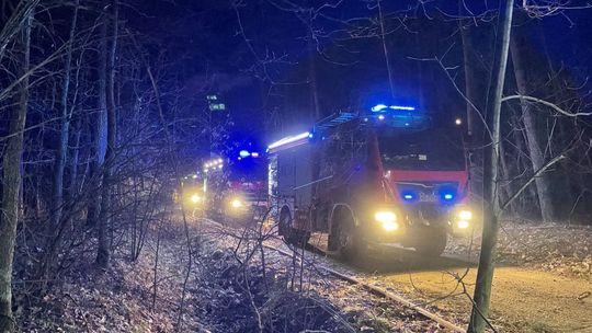 Pożar w Lesie Ościsłowskim. Winowajca już znany!