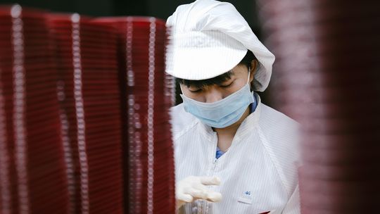 Praca szuka człowieka! Aktualne oferty PUP w Ciechanowie