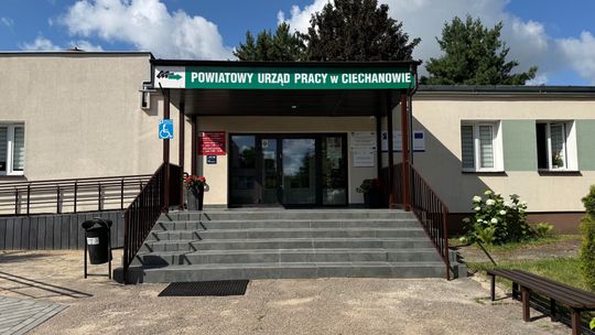 Oferty pracy w Ciechanowie