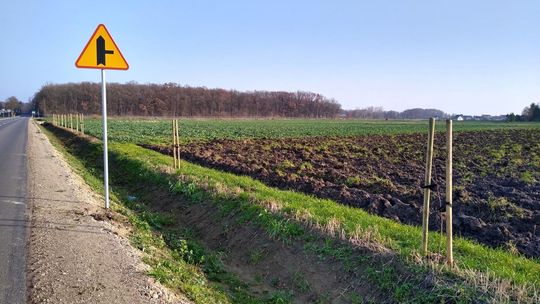 Projekt Leśnej był źle przygotowany. PZD unieważnił przetarg