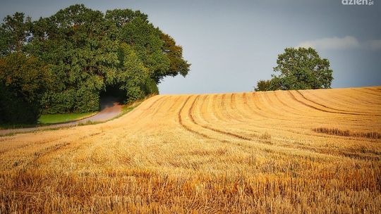 PROW. Ostatnie dni na składanie wniosków