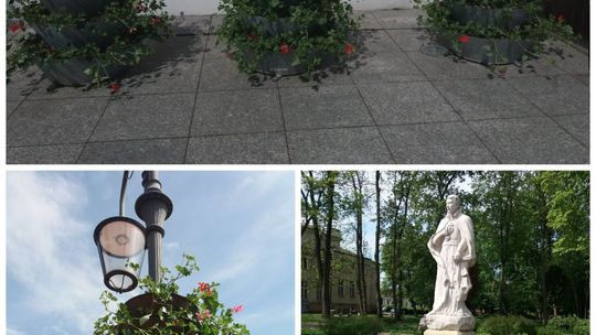 Przasnysz rozkwita!