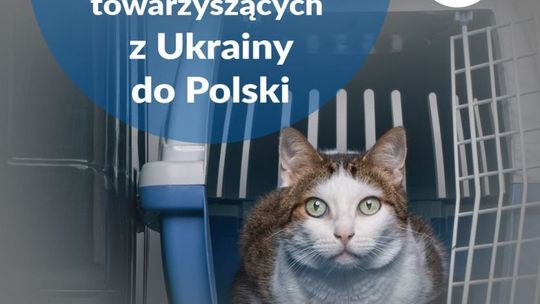 Przemieszczanie się zwierząt z uchodźcami monitoruje m.in. Powiatowy Inspektorat Weterynaryjny w Ciechanowie