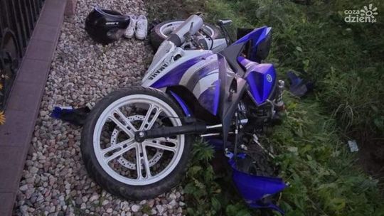 Psy wybiegły na drogę, 16-latek trafił do szpitala