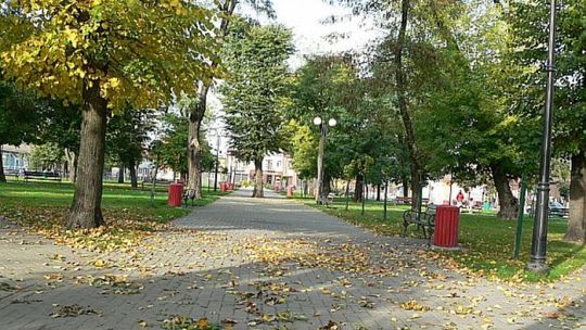 Raciąż. 41-latek z narkotykami w parku
