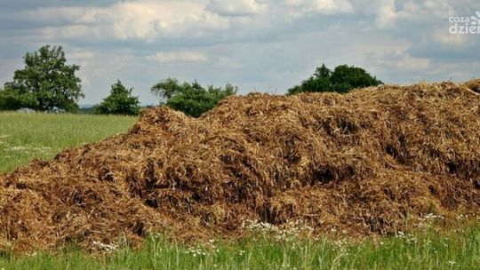 Radzanów. Mężczyzna igrał z ptasią grypą