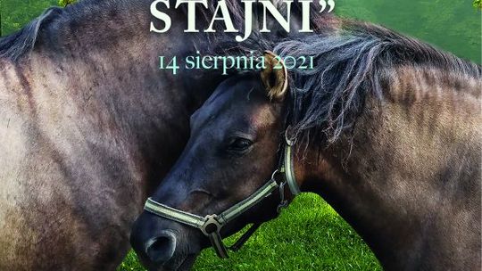 Rodzinna sobota "W muzealnej stajni"