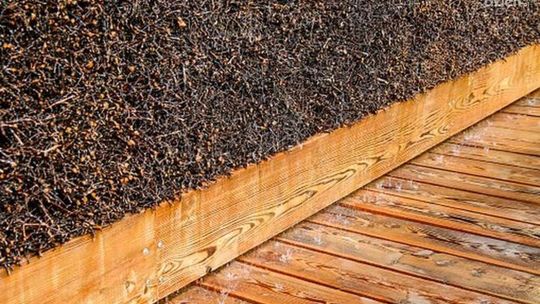 Są pieniądze, będzie tężnia w Ojrzeniu